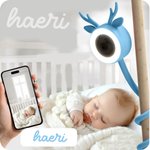 WI-Fi ვიდეო ძიძა / რადიოძიძა მოქნილი 4MP