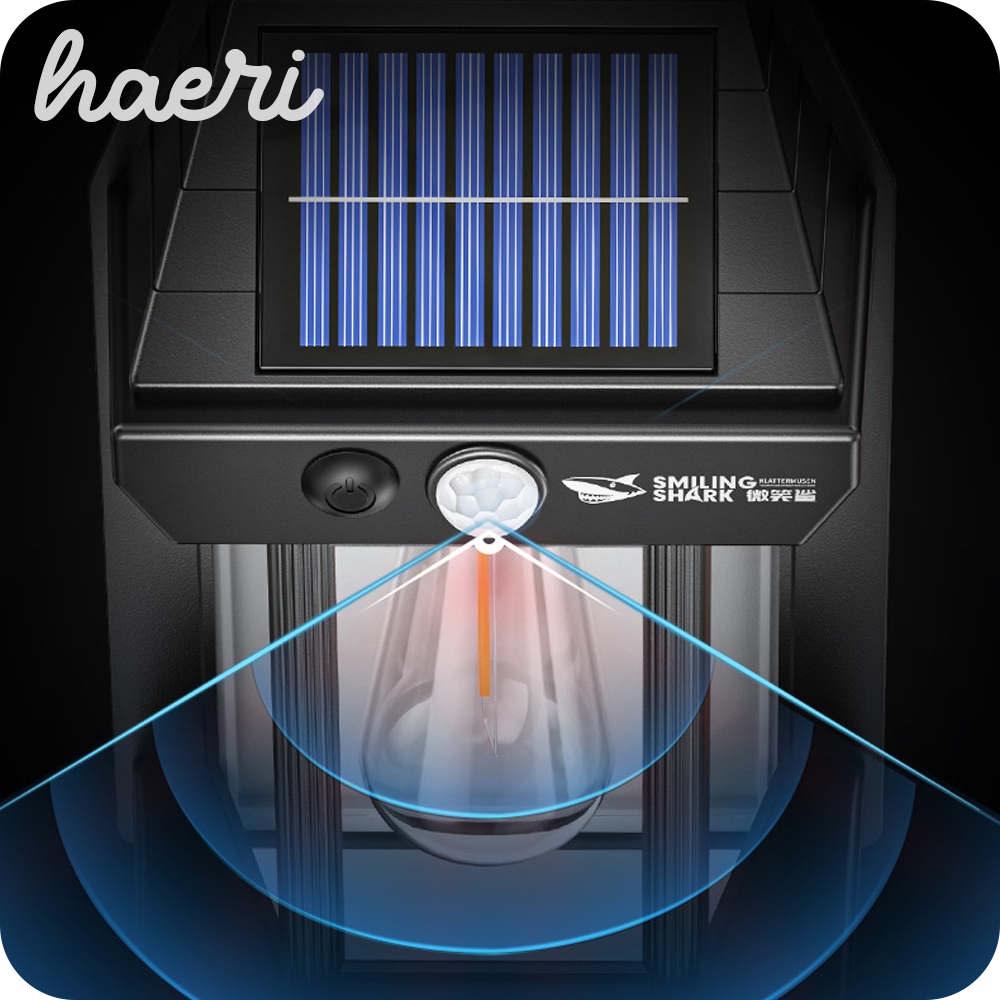 სანათი მზის პანელზე სენსორით Smiling Shark BD-067