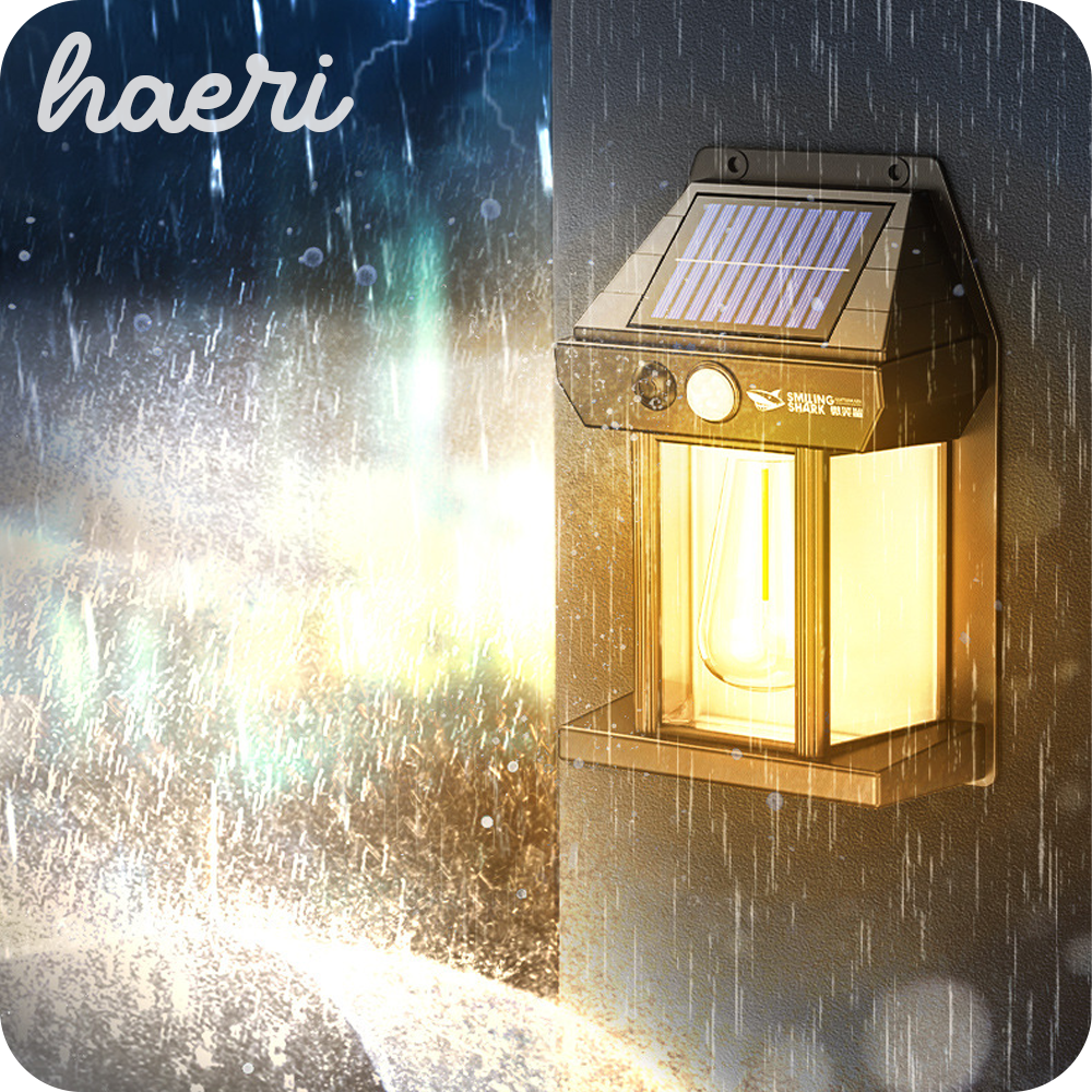 სანათი მზის პანელზე სენსორით Smiling Shark BD-067