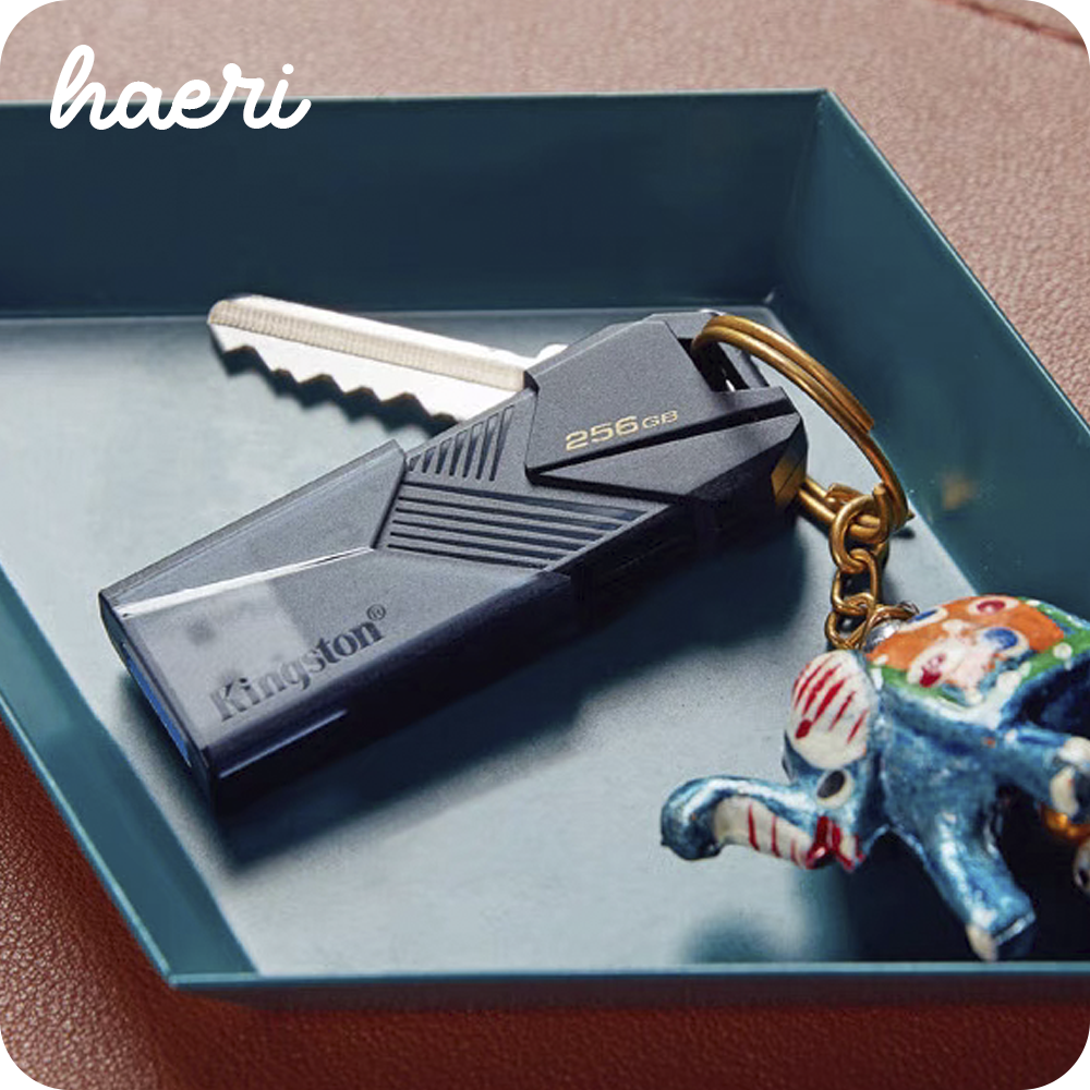 USB ფლეშ მეხსიერება 256GB Kingston DataTraveler Exodia Onyx USB Flash Drive