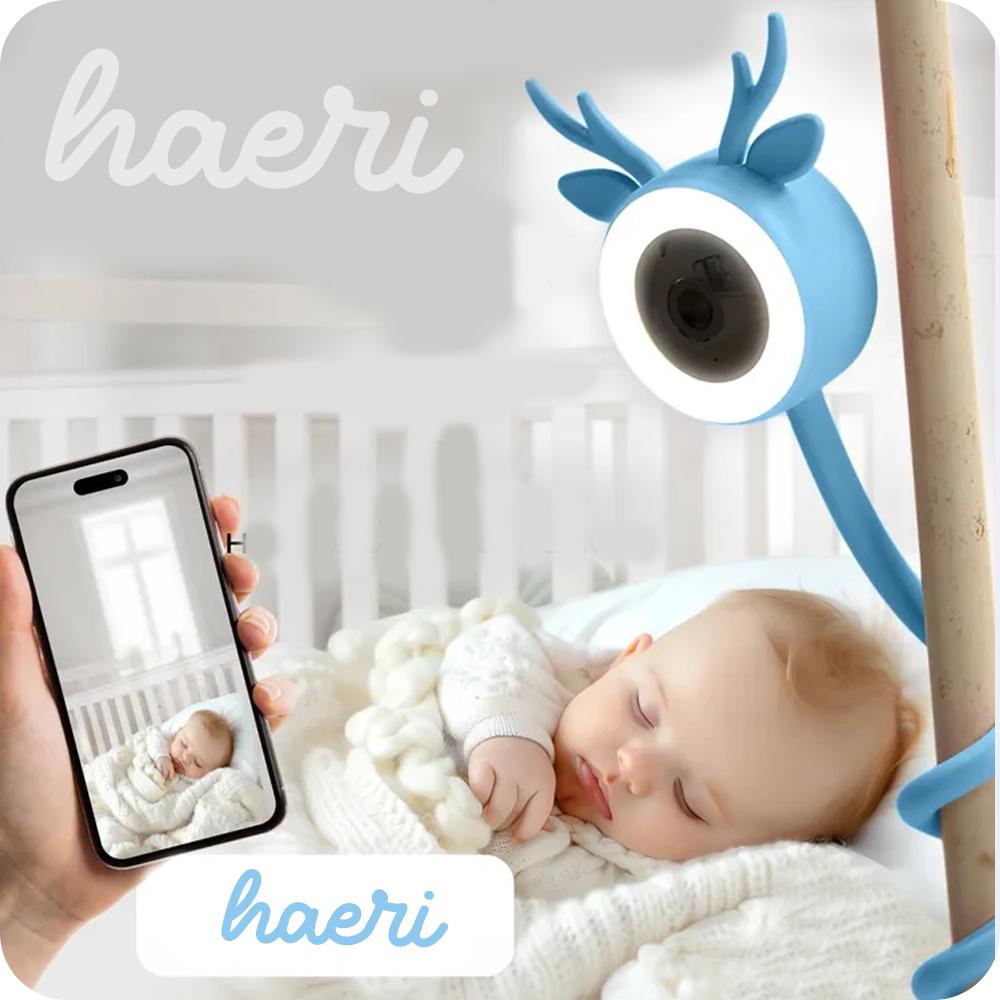 WI-Fi ვიდეო ძიძა / რადიოძიძა მოქნილი 4MP