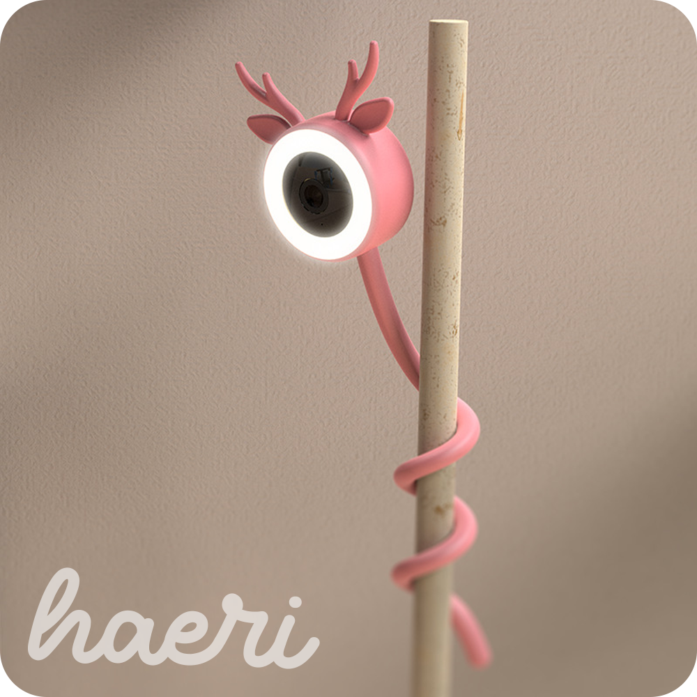 WI-Fi ვიდეო ძიძა / რადიოძიძა მოქნილი 4MP